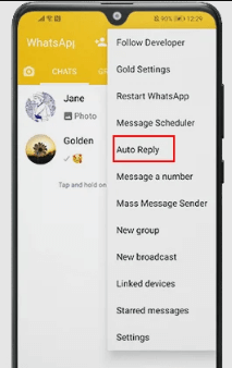 WhatsApp Gold's advanced search options
